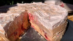 torta sa plazmom i visnjama (3)